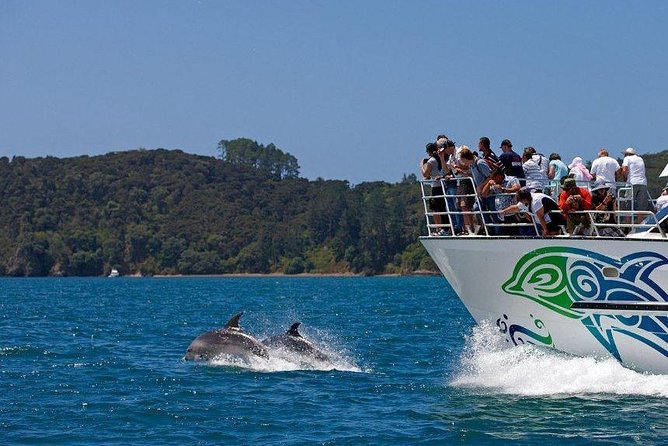 Private Tour: Bay of Islands Day Trip from Auckland - Bay of Islands in One Day, Private Pickup Included