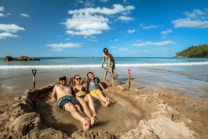 Private Tour - Coromandel Beach, Caves & Forest - Key Highlights You’ll Actually Care About