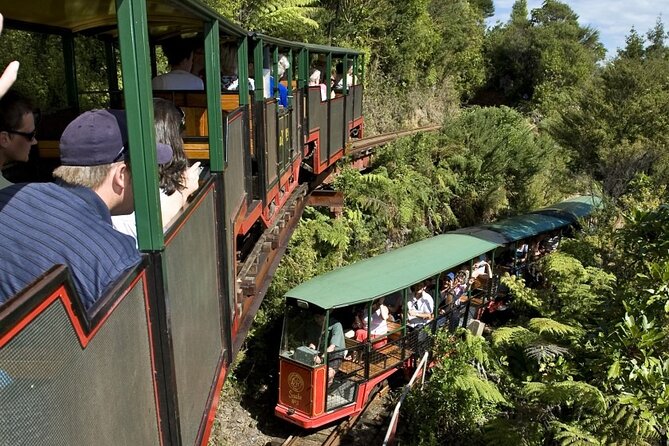 Private Tour - Coromandel Beach, Caves & Forest - Auckland to the Coromandel Coast in a Private Luxury Mercedes