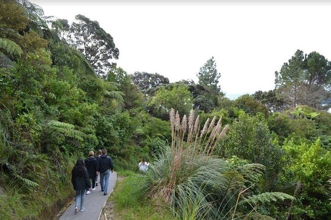 Private Tour - Coromandel Beach, Caves & Forest - Driving Creek Railway and Pottery: Kauri Forest Views and Art on the Tracks