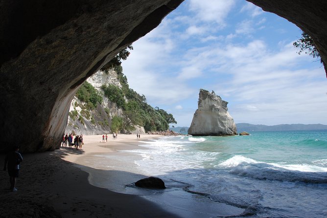 Private Tour - Coromandel Beach, Caves & Forest - Price and Value: What $589.54 Per Person Covers