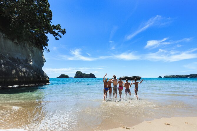 Private Tour - Coromandel Beach, Caves & Forest - Quick Tips That Make the Day Easier