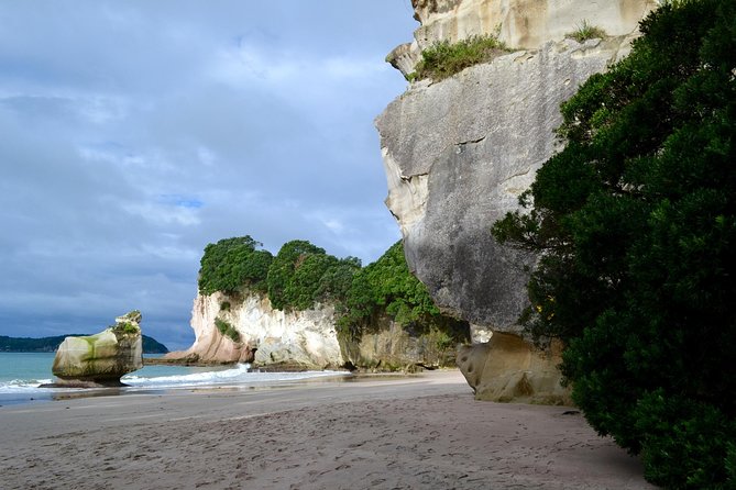 Private Tour - Coromandel Beach, Caves & Forest - Should You Book This Coromandel Coast Private Tour?