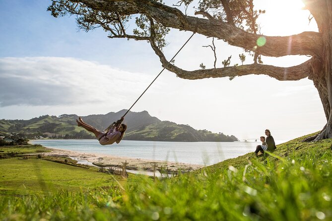 Private Tour - Coromandel Beach, Caves & Forest - Hot Water Beach Digging Session: Your Own Natural Spa Pool
