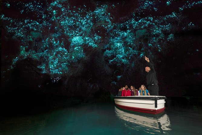 Private tour from Auckland - Waitomo Glowworm Caves, Zealong Tea & Kiwi Bird - Zealong Tea Estate: organic tea tasting at a working estate