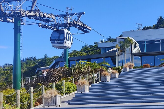 Private Tour: Hobbiton Movie Set, Rotorua Mud Pool & Treewalk - How private transportation changes the whole experience