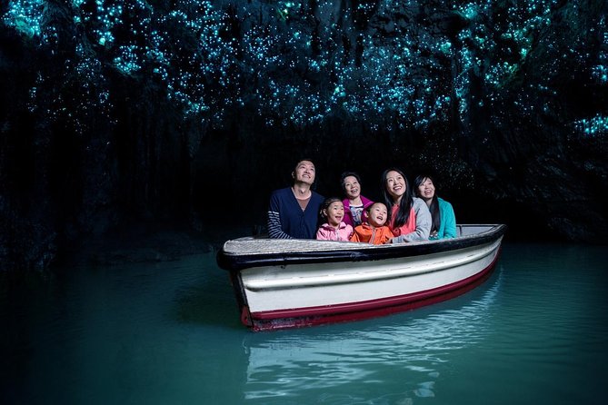 Private Tour: Hobbiton & Waitomo Glowworm Cave Experience - Private luxury transport from central Auckland, and why it changes the day
