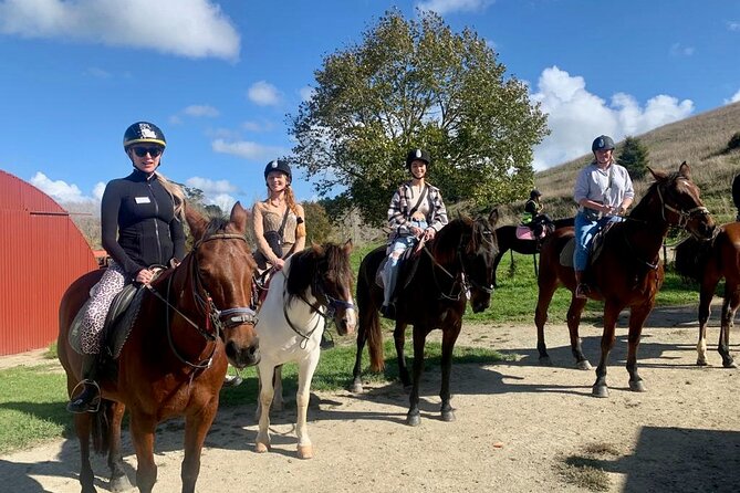Private Tour - Horse Riding, Wine Tasting and Art Trail - Key things that make this private Auckland tour worth your attention