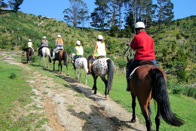 Private Tour - Horse Riding, Wine Tasting and Art Trail - Who this tour fits best (and who should skip it)