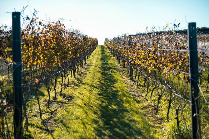 Private Tour - Waiheke Island Luxury Experience - Hotel Pickup and the 8-Hour Rhythm That Keeps Stress Low