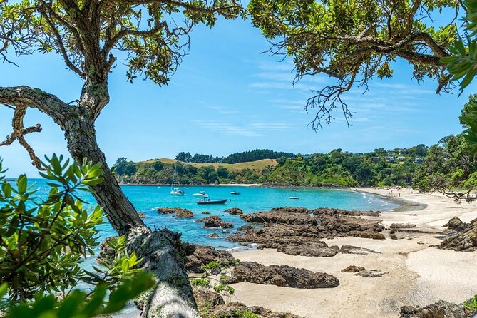 Private Tour - Waiheke Island Luxury Experience - The Part Most People Forget: Weather and 18+ Drinking Reality