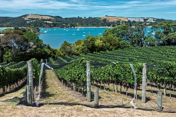 Private Tour - Waiheke Island Luxury Experience - English and Arabic Support, Smart Casual, and Other Day-Of Details