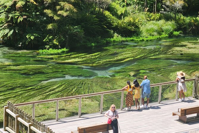Private Tour WaiOtapu & Huka Falls & Blue springs from Auckland - Key highlights from Waiotapu, Huka Falls, Taupo and Blue Spring