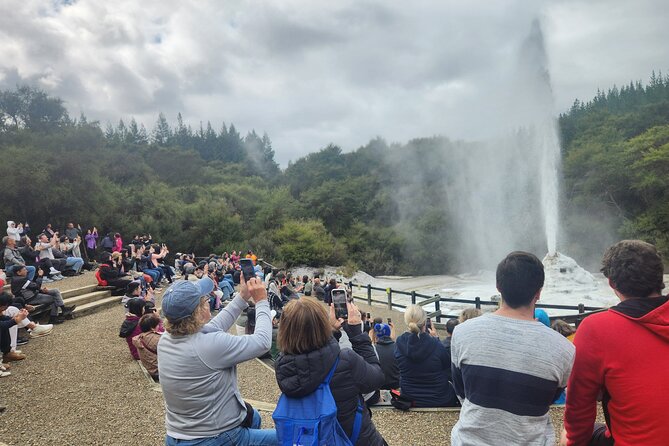 Private Tour WaiOtapu & Huka Falls & Blue springs from Auckland - Rotorua transfer time: the calm before the geothermal intensity