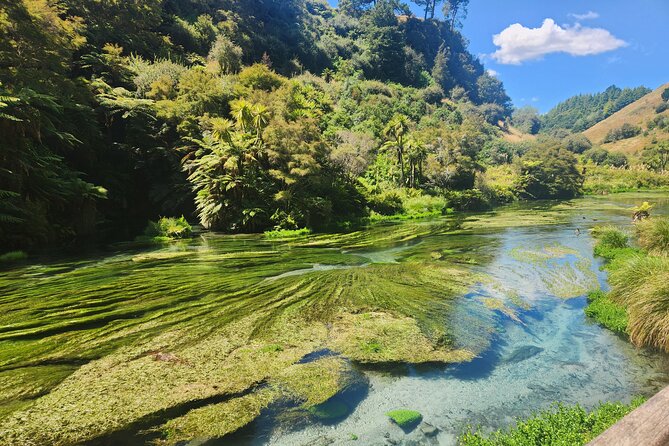 Private Tour WaiOtapu & Huka Falls & Blue springs from Auckland - Private transportation from Auckland, and what that’s worth