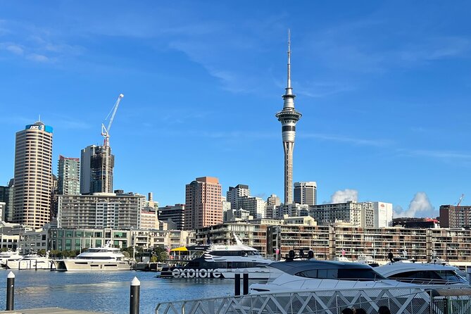 Private Transfer From Auckland Airport To Rotorua - Timing, Airport Hours, and Your Best Landing Strategy