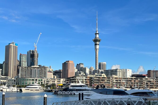 Private Transfer From Auckland City To Auckland Airport - Pickup Timing and Communication That Reduces Flight-Day Anxiety