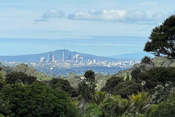 Private Transfer From Auckland International Airport To Auckland City - Luggage, oversized bags, and special needs at pickup