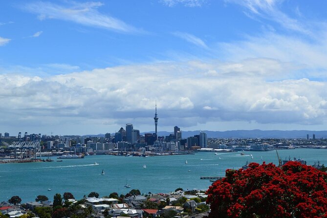 Private Transfer From Auckland International Airport To Auckland City - Driver communication is the secret sauce, not just transportation