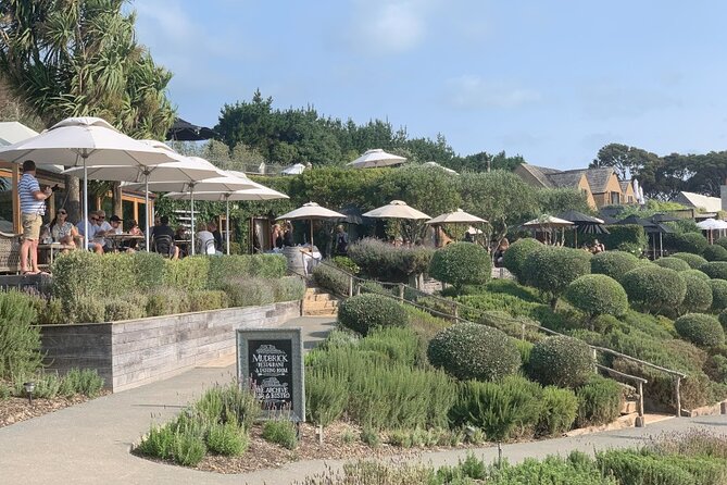 Private Waiheke Food & Wine Tour - Entering Waiheke: Why a private food and wine day works so well