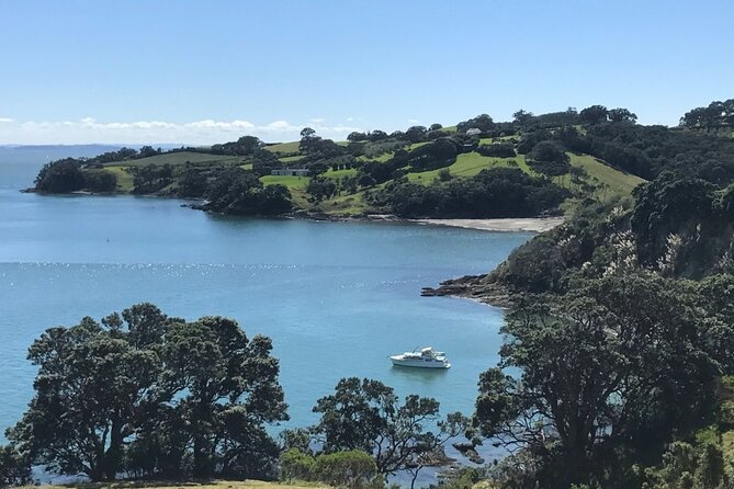 Private Waiheke Food & Wine Tour - Stop 3: Allpress Olive Groves for olive oil, honey, and herb spread