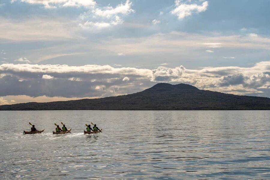 Rangitoto Island: Sea Kayak & Summit Hike Day Trip - Rangitoto Island by kayak, then volcano summit
