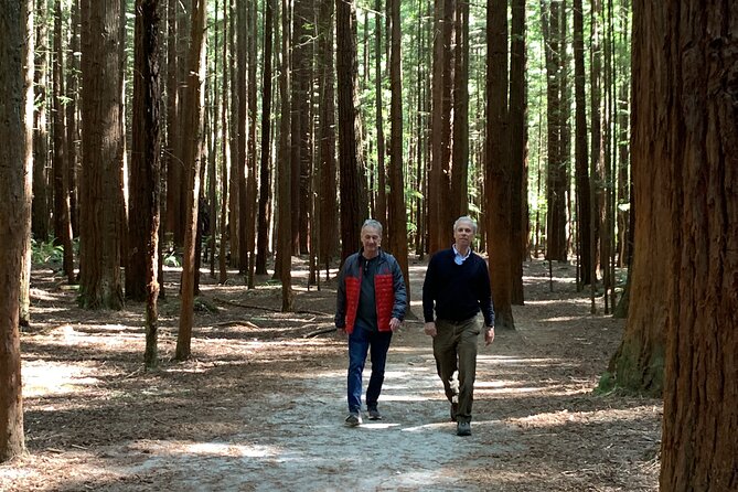 Redwood Forest , Blue Springs & Huka Falls Day Tour from Auckland - Price and Value: What You’re Paying For (And What You Still Need to Budget)