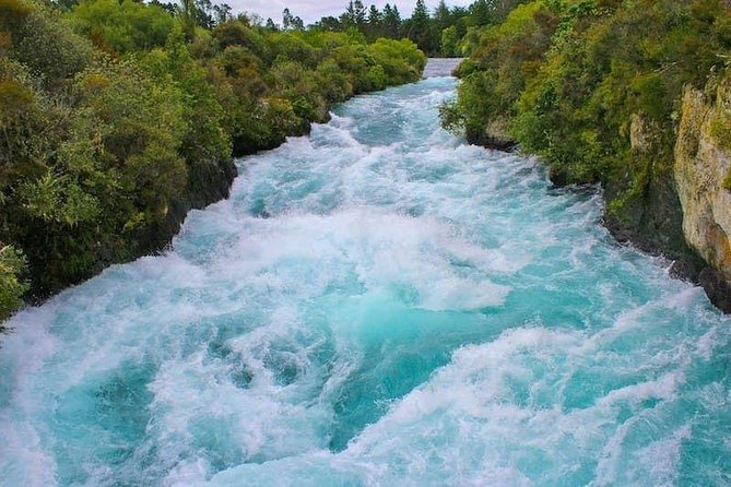 Redwood Forest , Blue Springs & Huka Falls Day Tour from Auckland - Blue Springs: The Short Walk for Cobalt Water (And Why Flexibility Matters)