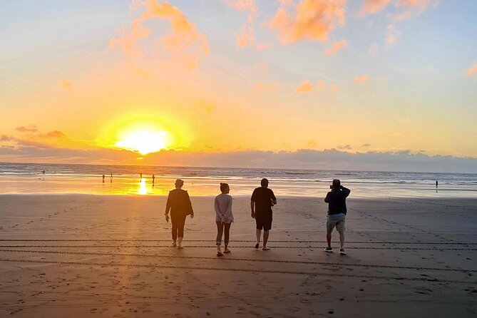 Romantic Auckland Sunset tour with Winery & Thermal pool - Price and value: why $279.26 may feel steep, but adds up