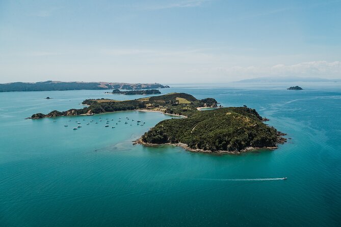 Rotoroa Island Ferry - from Auckland - The 75-minute Hauraki Gulf cruise: best spots, best timing, and what to bring