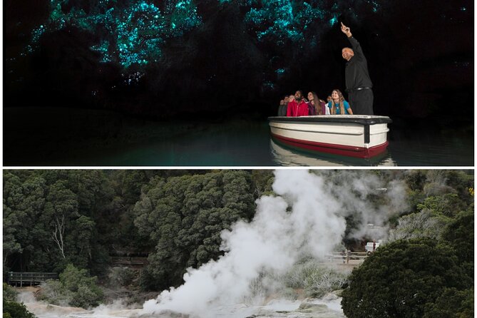Rotorua and Waitomo Caves Day Trip from Auckland -Smaller Groups - Māori Arts and Crafts Institute at Te Puia: quick, meaningful, and well placed