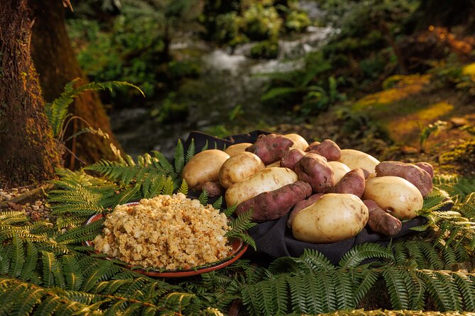 Rotorua Cultural & Geothermal Small Group Tour From Auckland - What to pack for geothermal walking and a full-day schedule