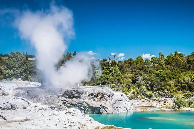 Rotorua Full Day Private Tour from Auckland - Leaving Auckland Without the Rental Car Headache