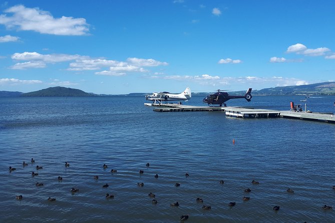 Rotorua Full Day Private Tour from Auckland - Timing and Pace: About 9 Hours of “Plan, See, Repeat”