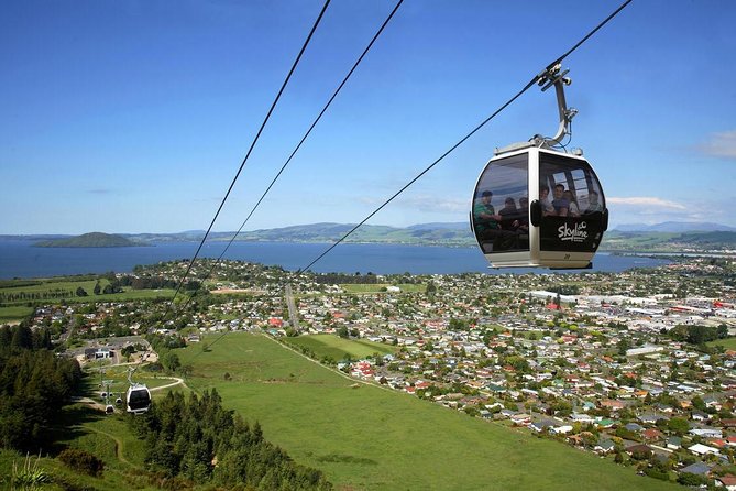 Rotorua Full Day Private Tour from Auckland - Price and Value: Is $216.58 Per Person Actually a Good Deal?
