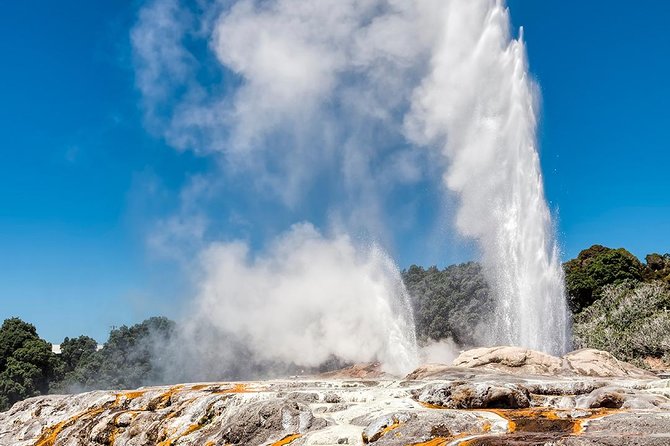 Rotorua Highlights Tour from Auckland with Optional Extras - Key highlights worth your attention
