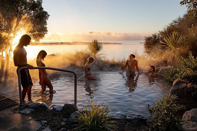 Rotorua Highlights Tour from Auckland with Optional Extras - Waikato views, a quick stop in Tirau, then down into Rotorua