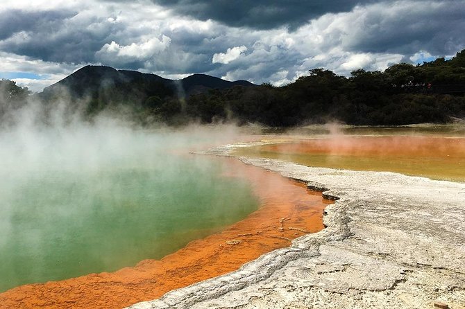 Rotorua Highlights Tour from Auckland with Optional Extras - Rotorua by design: choose up to two attractions