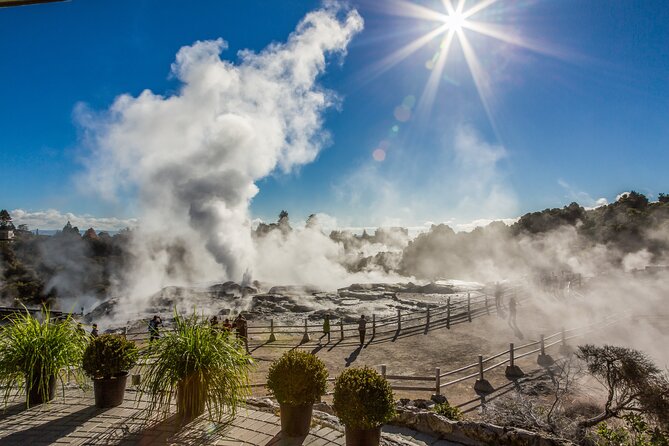Rotorua Highlights Tour inc. Te Puia Tour, Lunch & Cultural Show - Waikato countryside photo stops and the Tirau corrugated iron detour