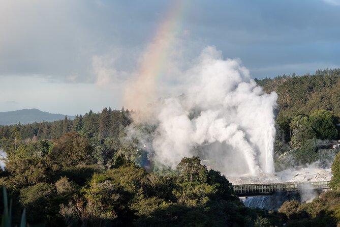 Rotorua Highlights Tour inc. Te Puia Tour, Lunch & Cultural Show - The small-group vibe and how guides shape the whole day