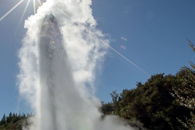 Rotorua Māori Village and Activity Combinations from Auckland - Hotel pickup, air-conditioned comfort, and that early 6:00 am start