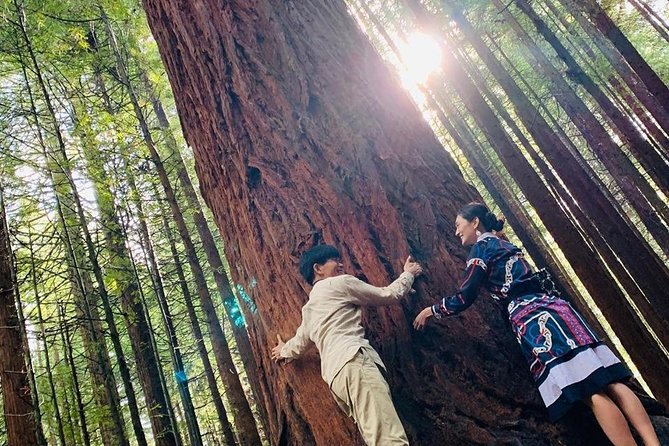 Rotorua Private tour with Hotspring - A realistic day schedule from Auckland, 8:00 am start to hot tub unwind
