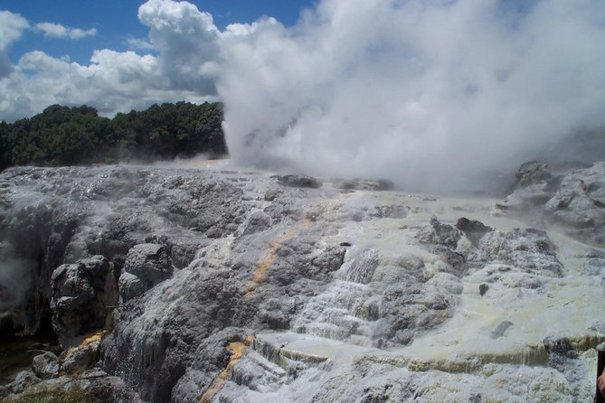 Rotorua Small-Group Day Tour from Auckland - Key highlights at a glance