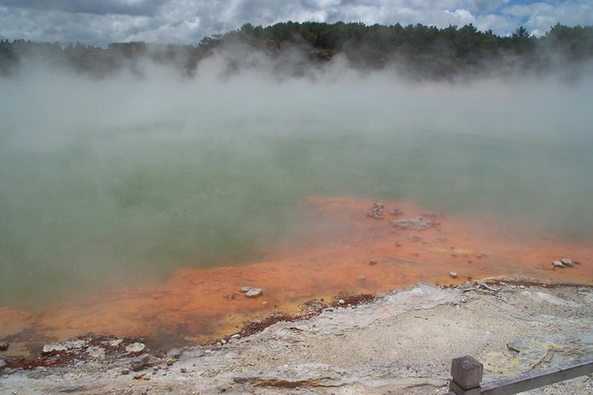 Rotorua Small-Group Day Tour from Auckland - Price and logistics: what you really get for $253.81