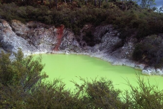 Rotorua Small-Group Day Tour from Auckland - Lake Rotorua and the city loop: a great “between stops” reset