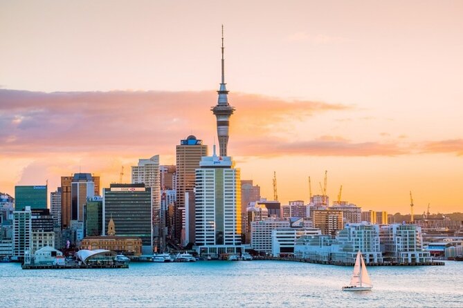 Rotorua Small-Group Day Tour from Auckland - Te Puia geysers, Kiwi House, and the lunch you will remember