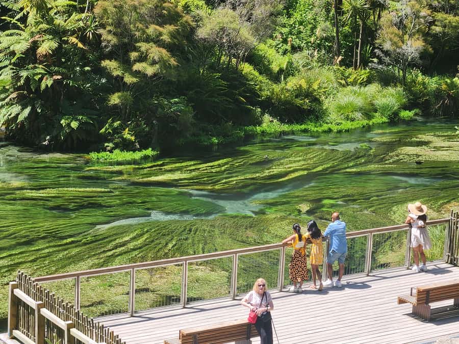 Rotorua & Taupo DayTour Waiotapu & Huka Falls from Auckland - Huka Falls viewpoints and the art of not rushing