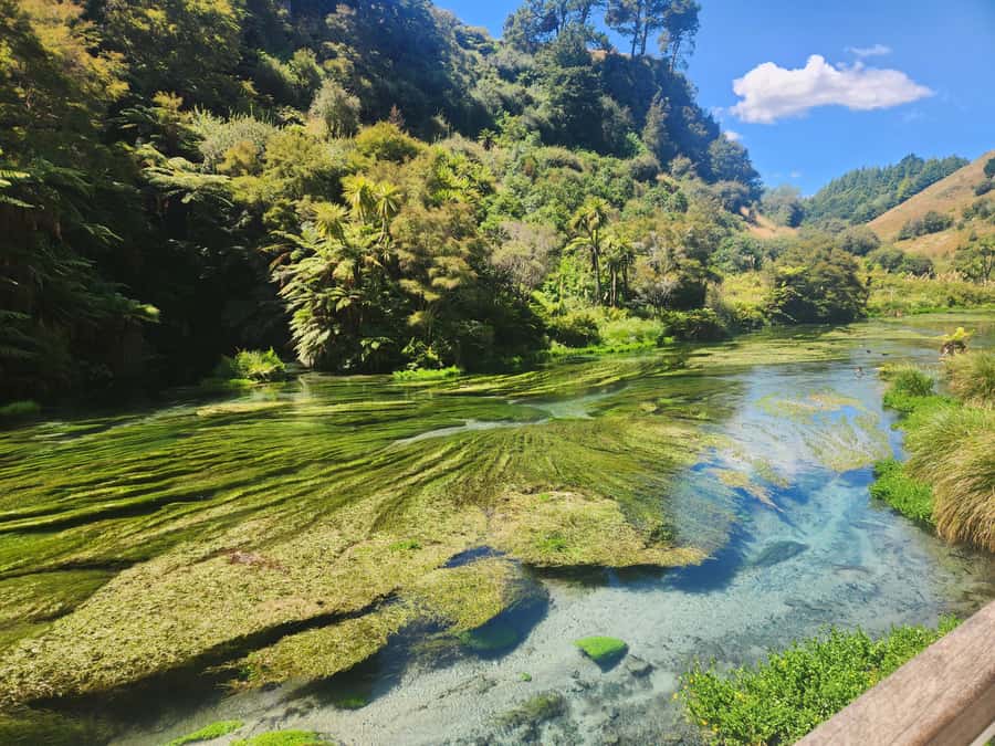 Rotorua & Taupo DayTour Waiotapu & Huka Falls from Auckland - Guide quality makes or breaks a long day