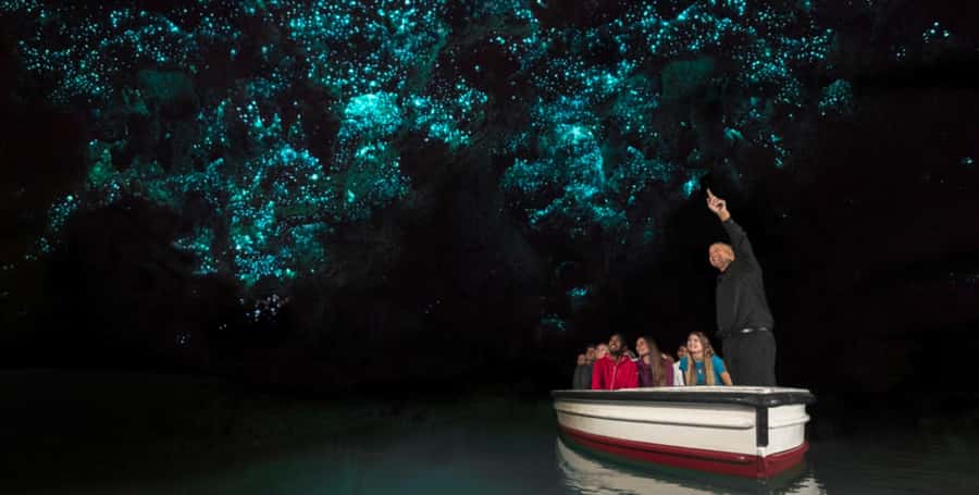 Rotorua to Auckland - Afternoon Transfer with Waitomo Caves - A One-Way Transfer That Feels Like a Proper Day Plan