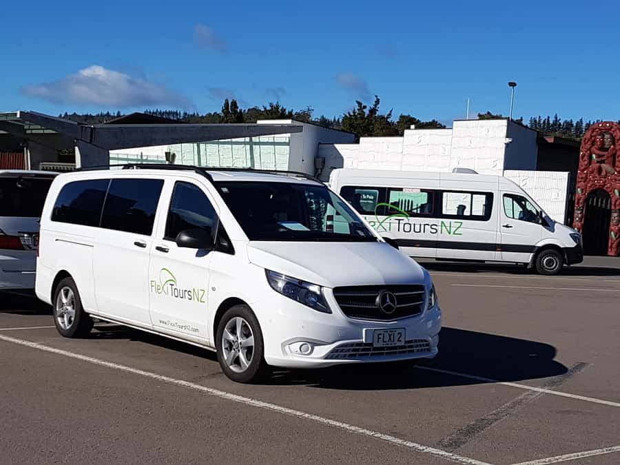 Rotorua to Auckland - Afternoon Transfer with Waitomo Caves - Door-to-Door Pickup and Small-Group Comfort (Max 12, Fewer Seats)